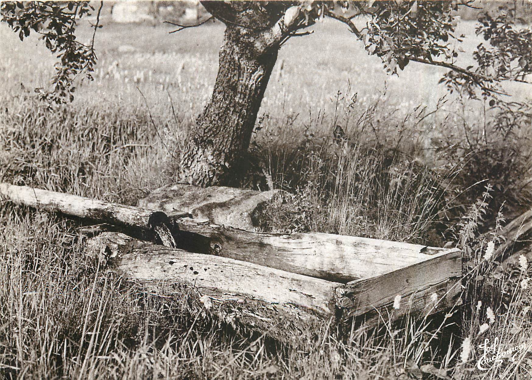 CPM Les Vieux Metiers Le Bassin en Bois Les Vosges 