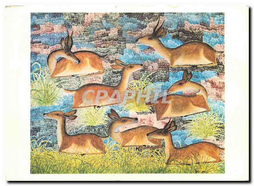 CPM Pili Pili Zaire Zaire Deer Les ruminants 