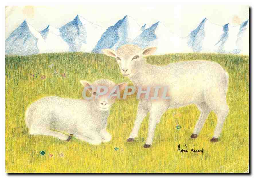 CPM Images de Chez Nous Les petits Agneaux Dessin d'Agnes Lecoq 