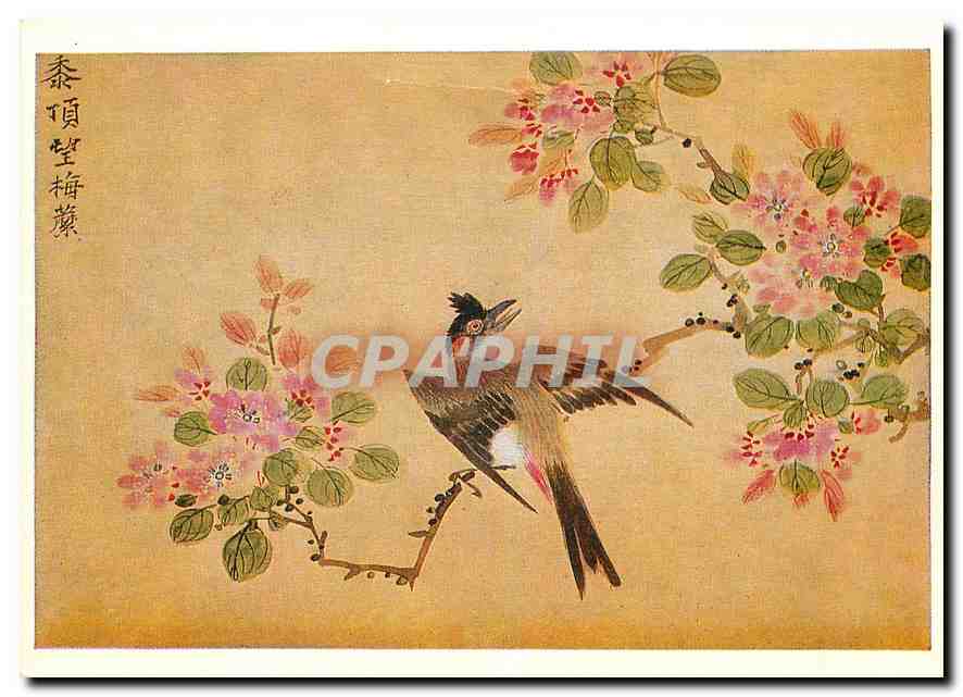 CPM Li Youen Kien Hirondelle deployant ses ailes 