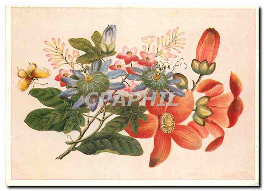 CPM Blumen und Schmetterlinge Chin Deckfarbenmalerei auf Reispapier 