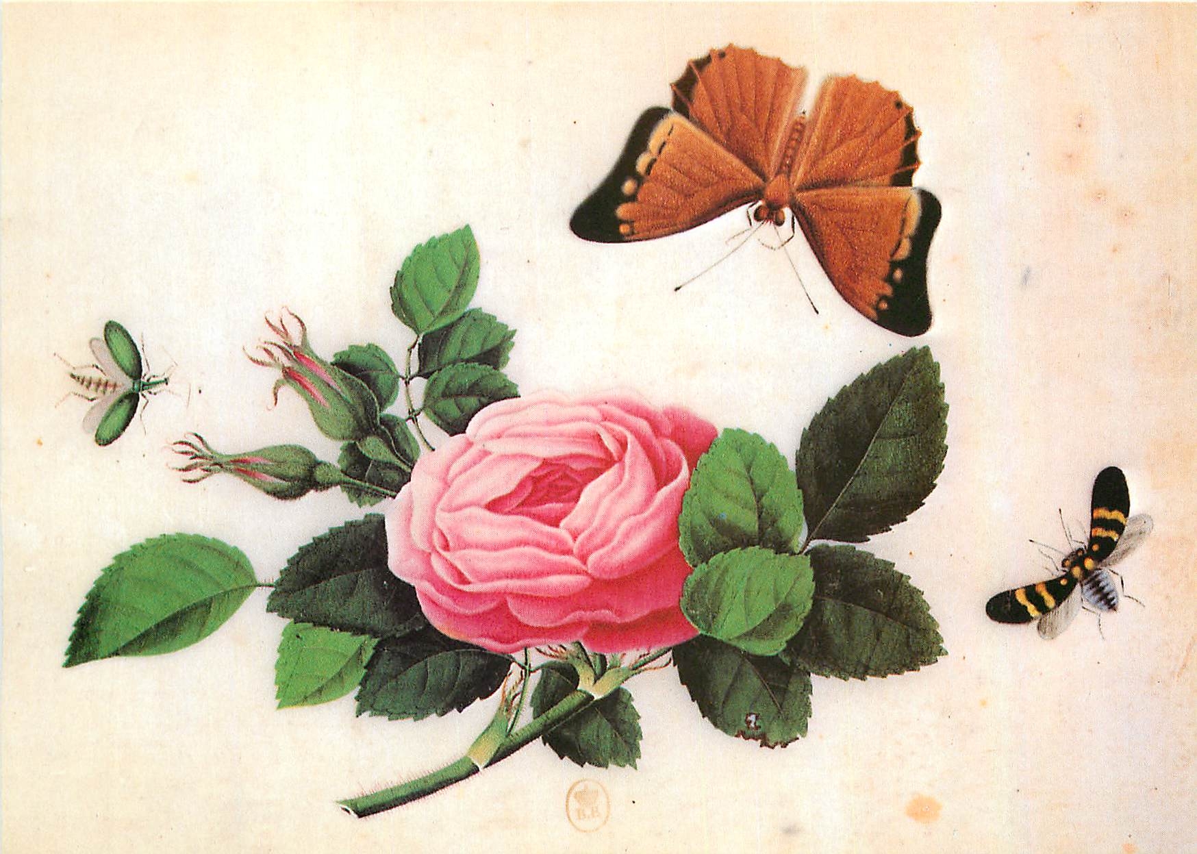 CPM Peinture chinoise XVIII Papillions et fleurs 