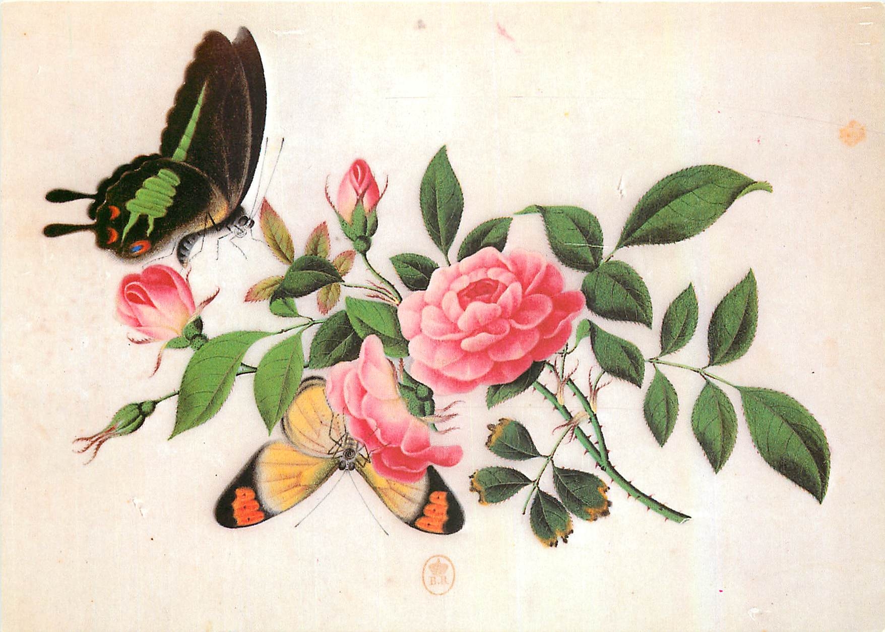 CPM Peinture chinoise XVIII Papillions et fleurs 