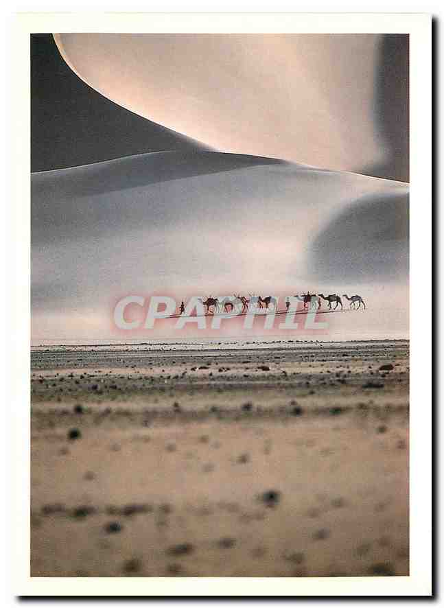 CPM Maurice Ascani Dunes d'Arakao Tenene Niger Chameaux