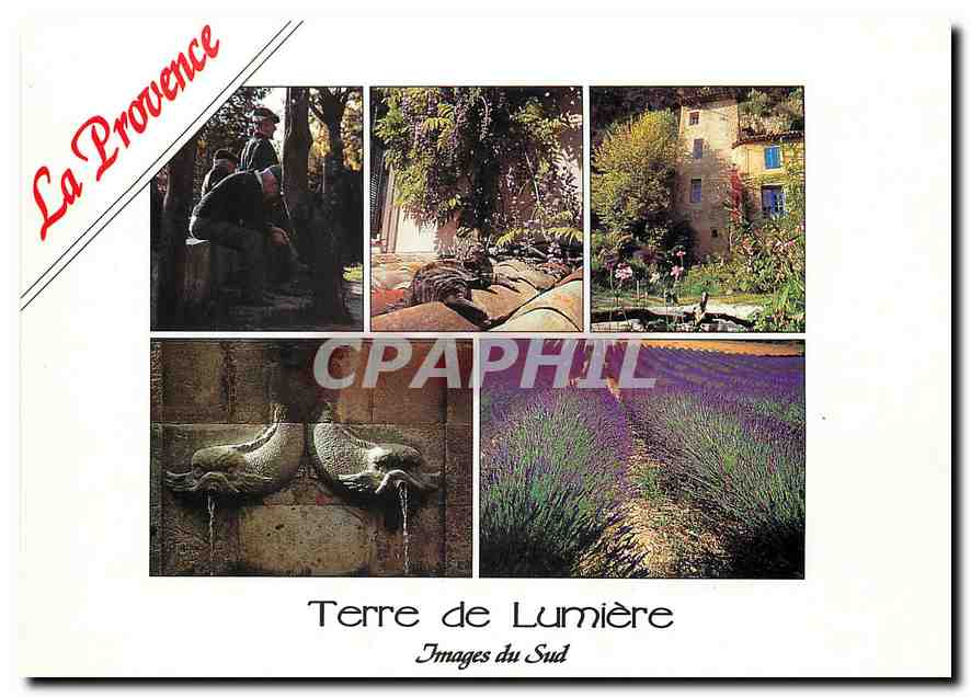 CPM La Provence Terre de Lumiere Images du Sud 