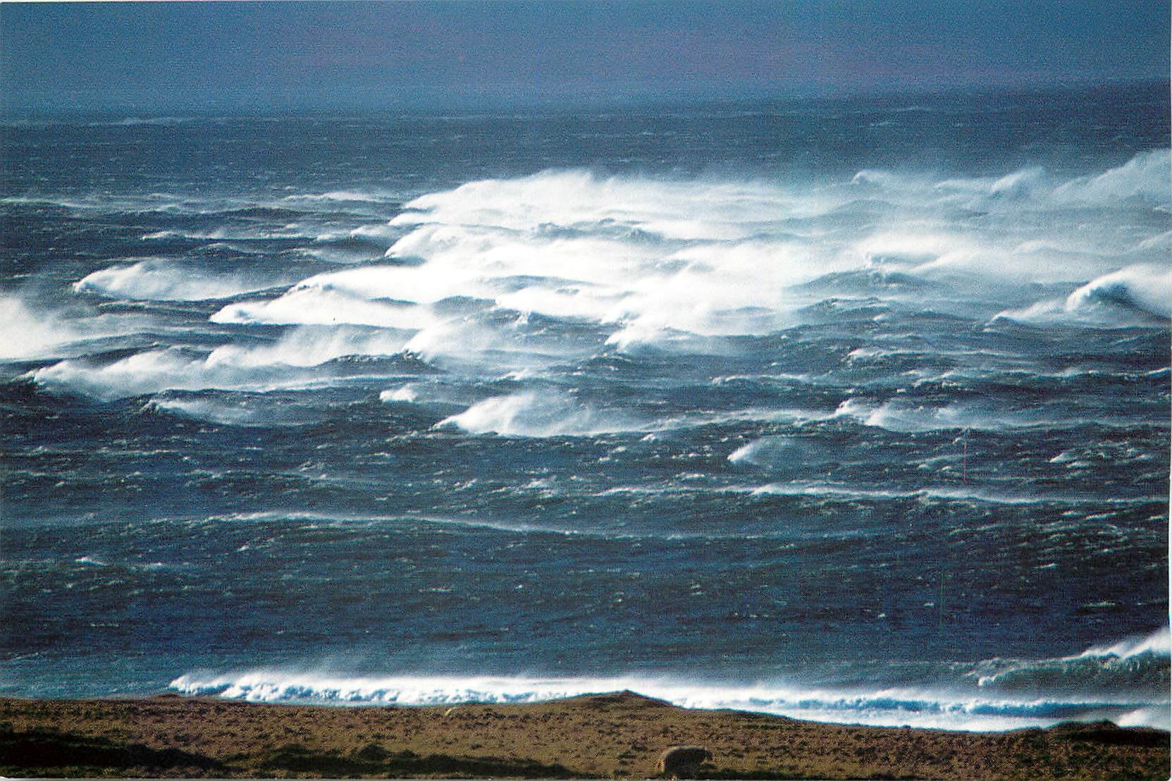 CPM Pluse que la voix des grandes eaux des magnifiques vagues de la mer 