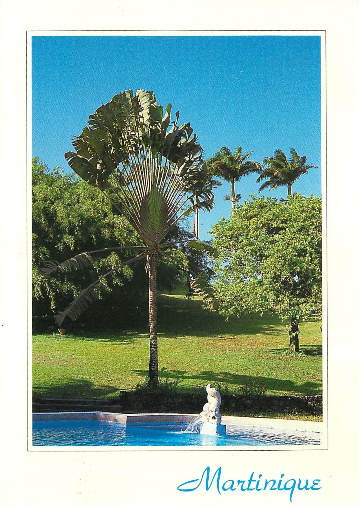 CPM La Martinique Plantataion de Leyritz 