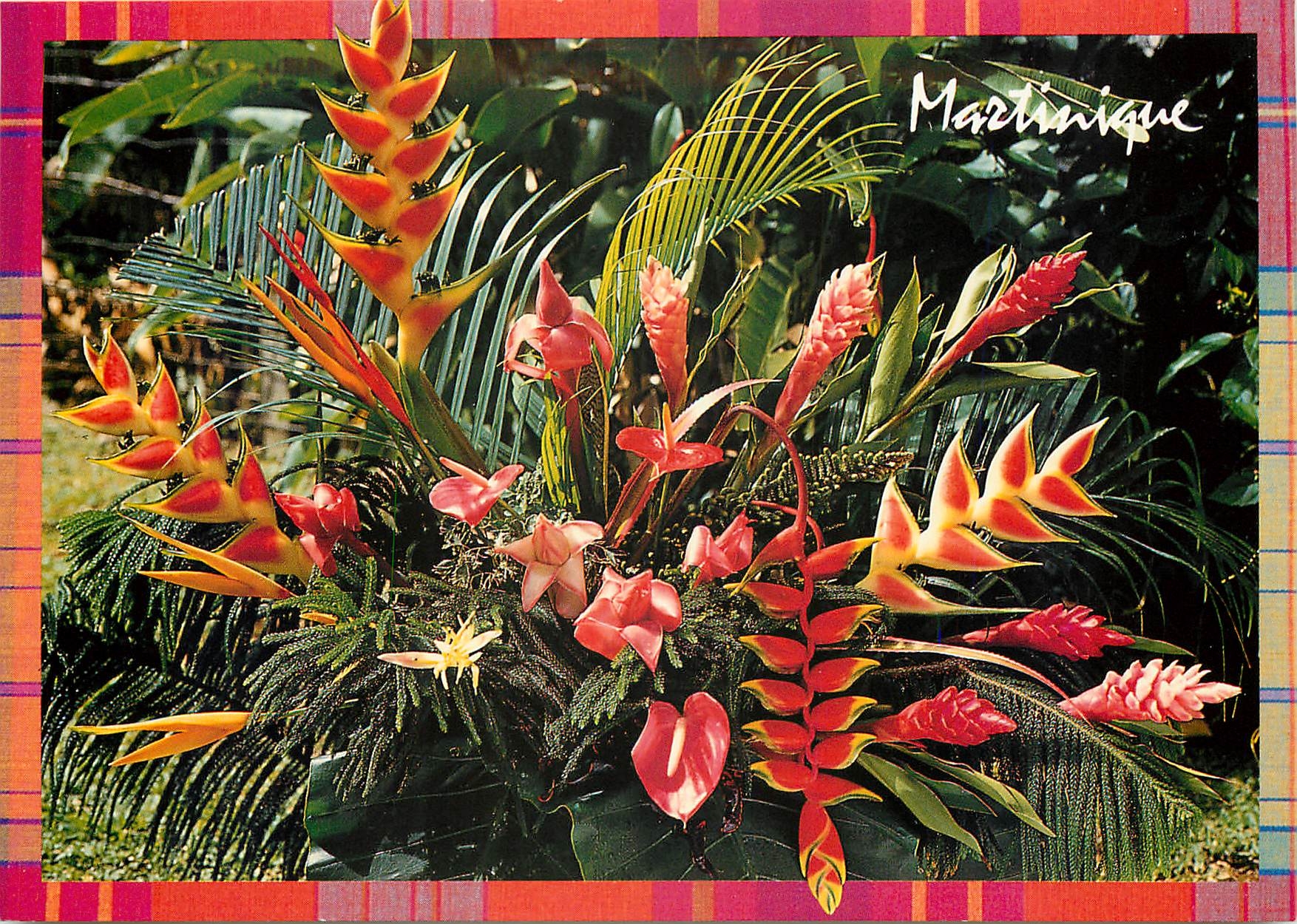 CPM Martinique Fleurs des Tropiques 