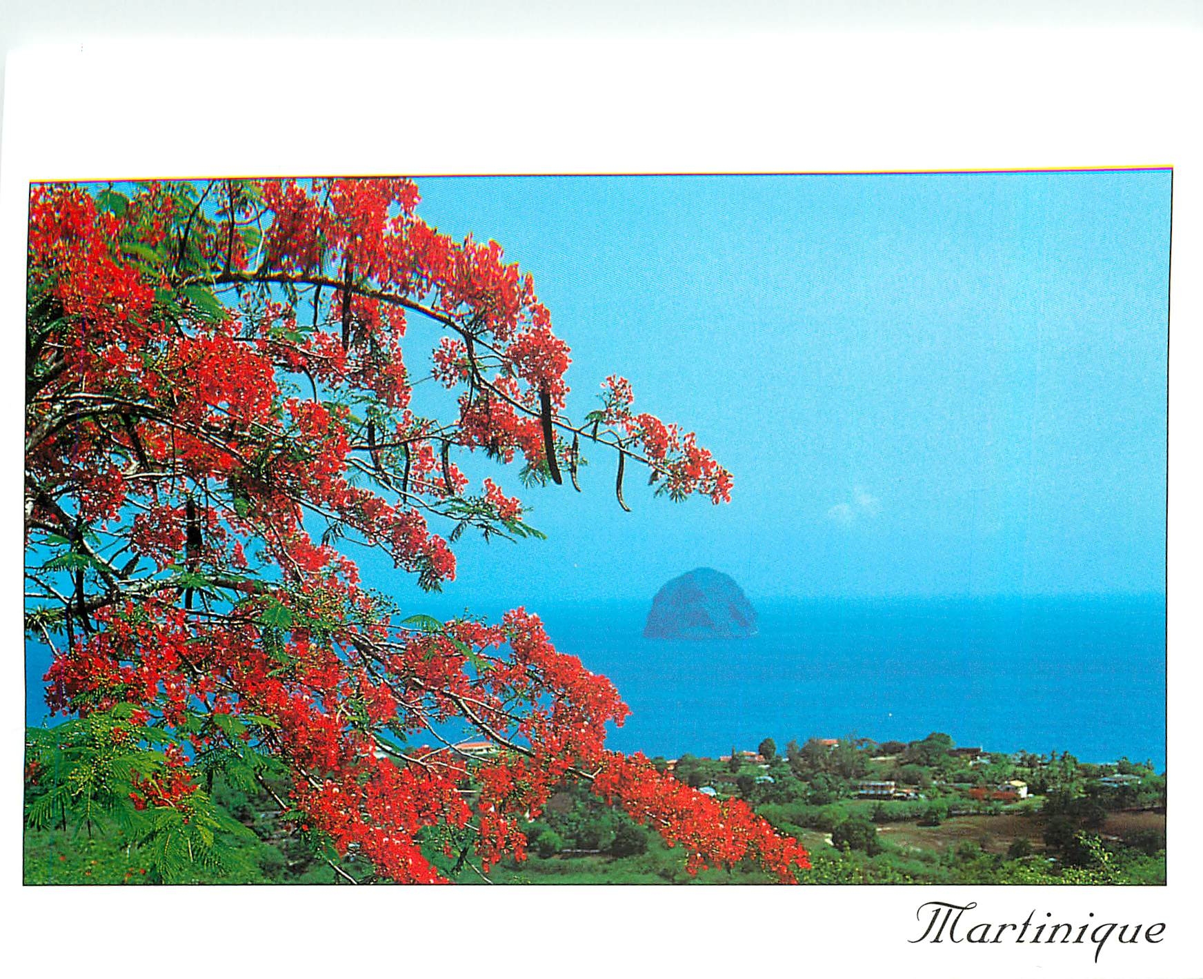 CPM Martinique 