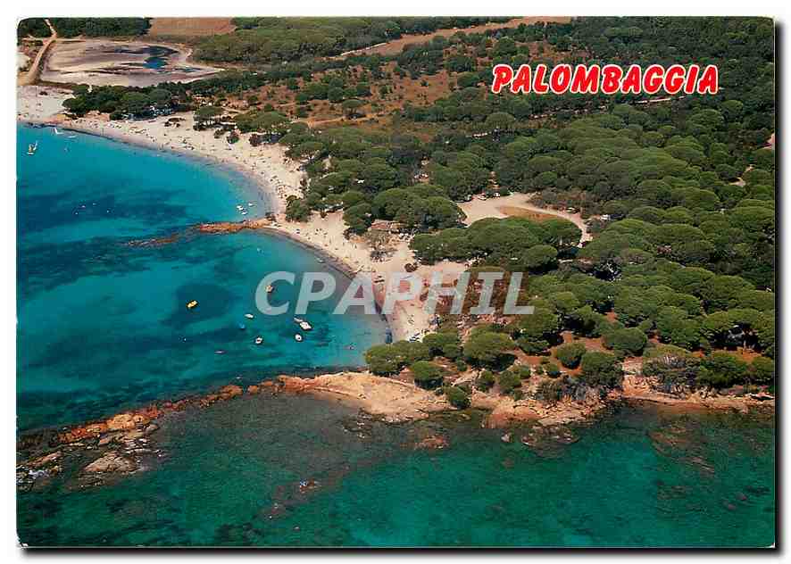 CPM Corse Ile de Beaute Souvenir de Palombaggia La plage et la pinede 
