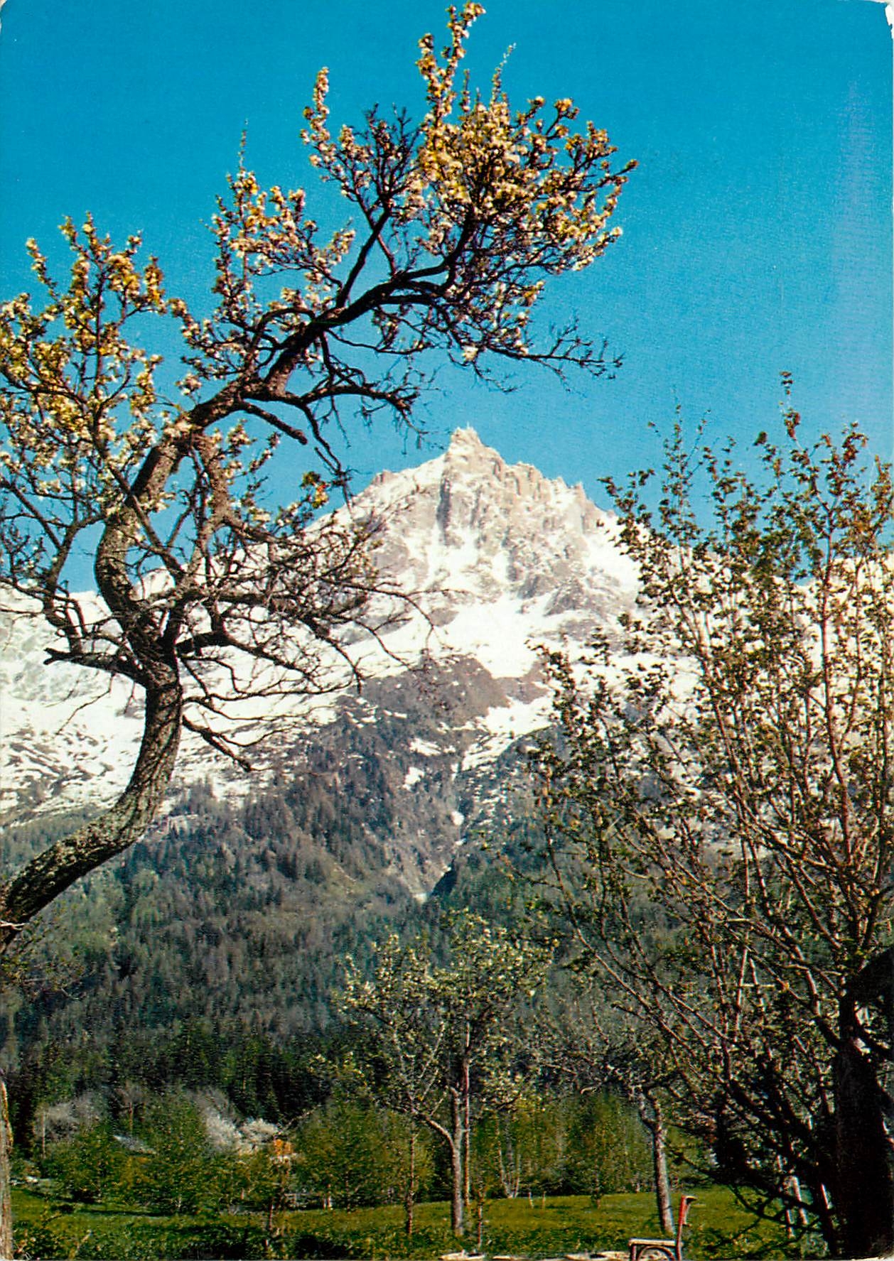 CPM Chamonix Mont Blanc L'Aiguille du Midi Au printemps 