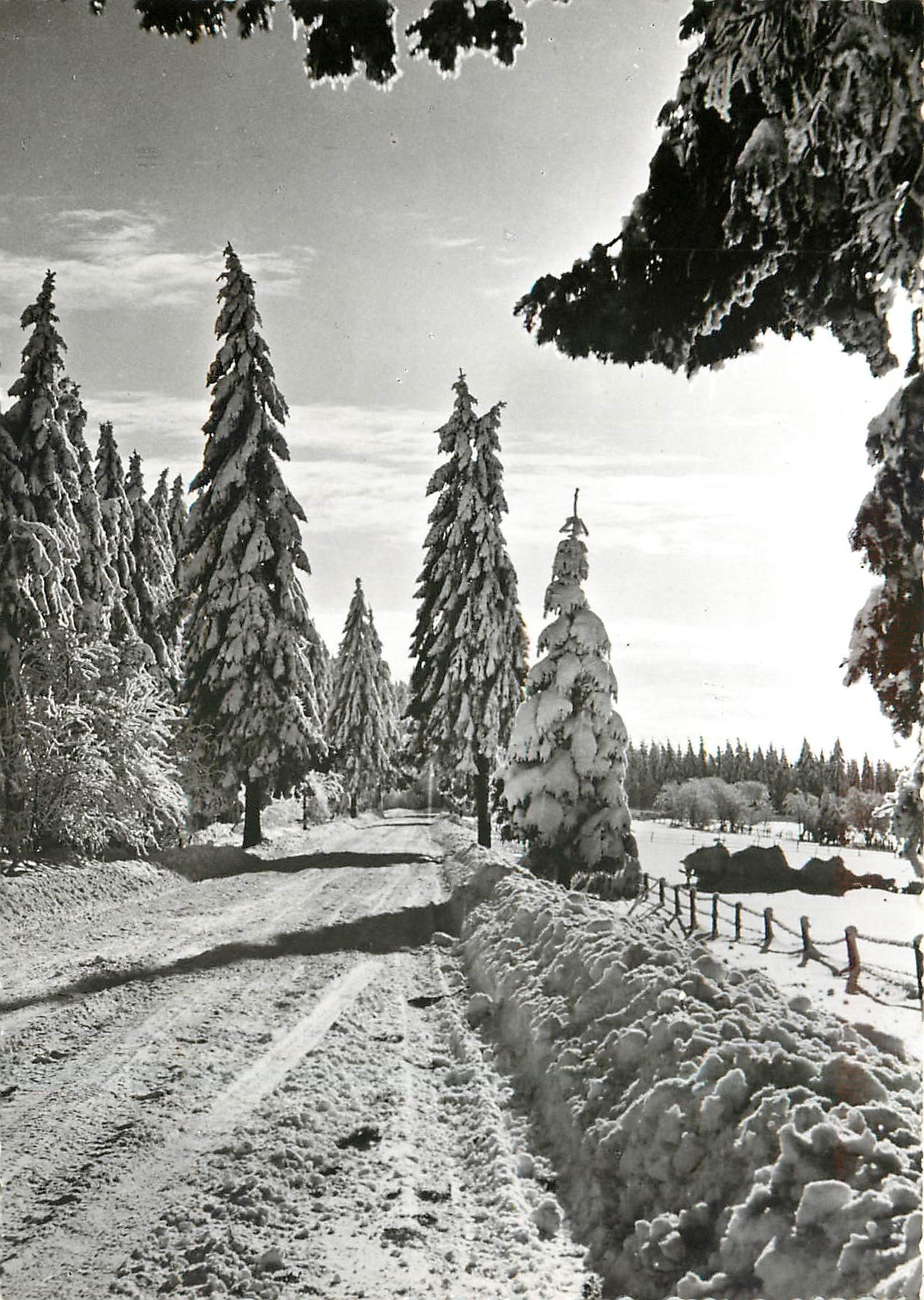 CPM Hiver en Hautes Fagnes 