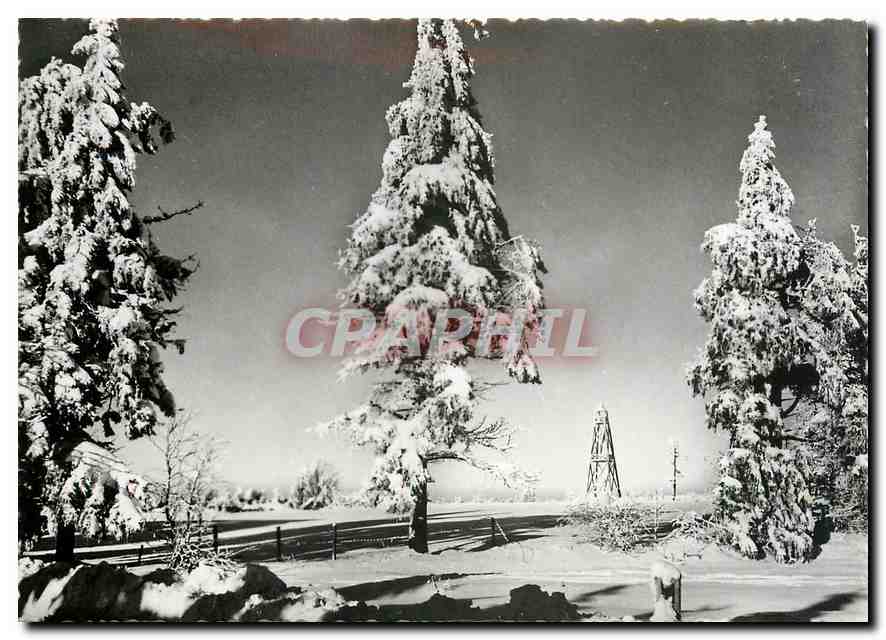 Hiver en Hautes-Fagnes — Winter im Hohen Venn — Édit. Landeur-Eupen, n° 346