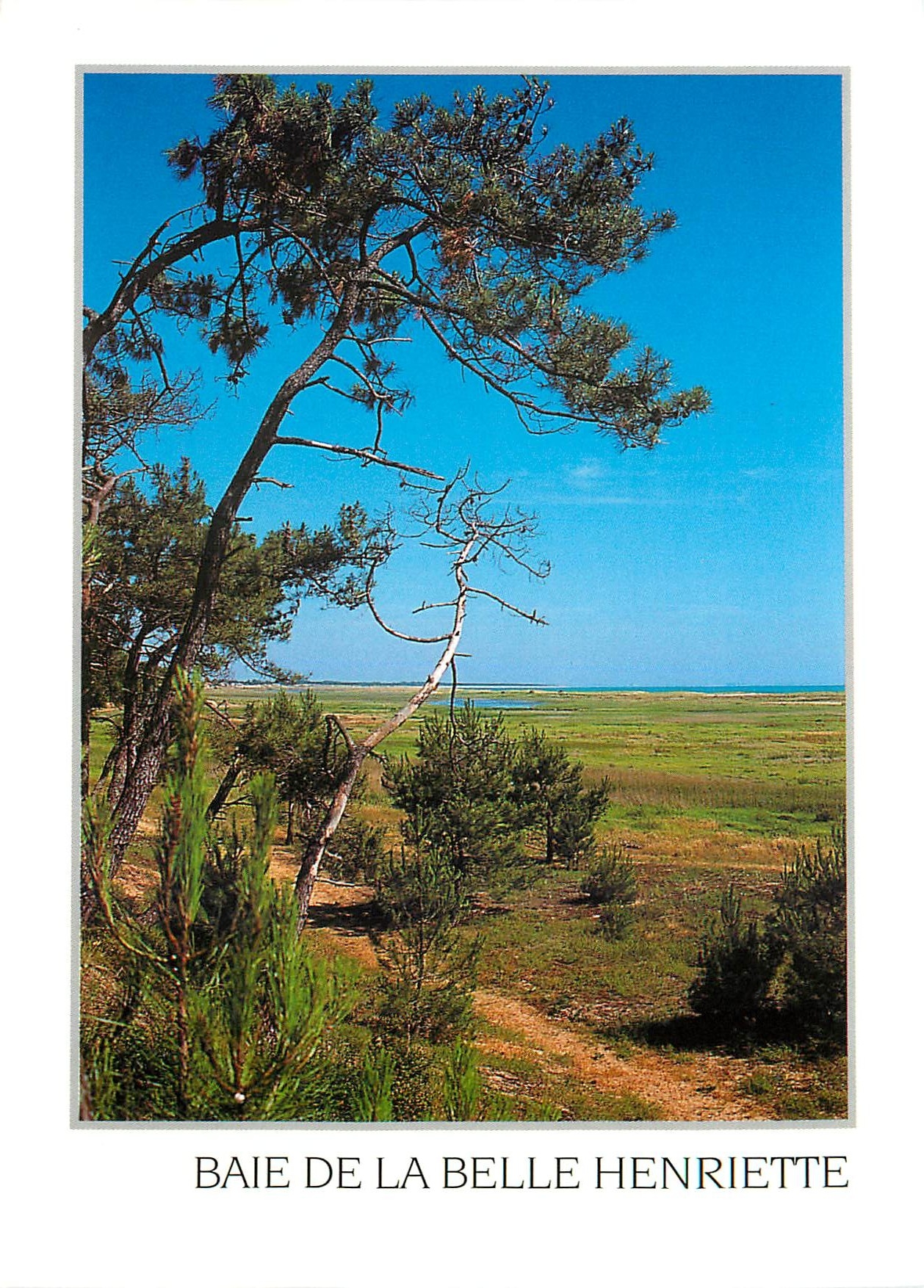 CPM Baie de la Belle Henriette Entre la Tranche sur Mer et l'Aiguillon La Faute Vendee 