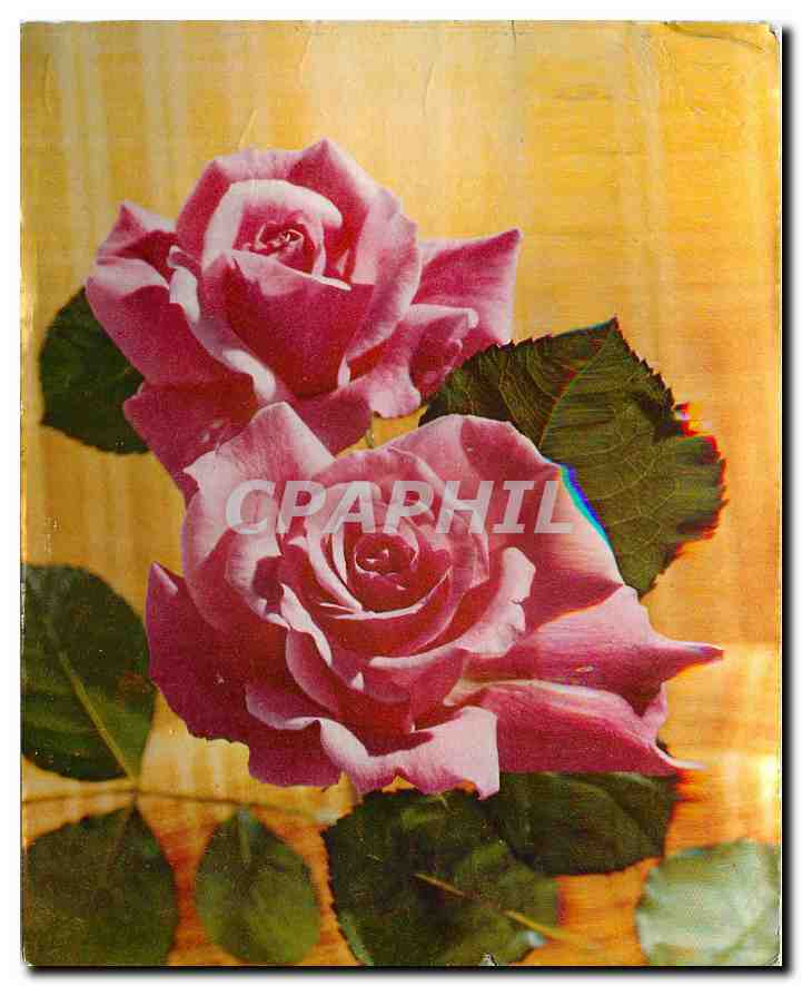 CPM Fleurs  