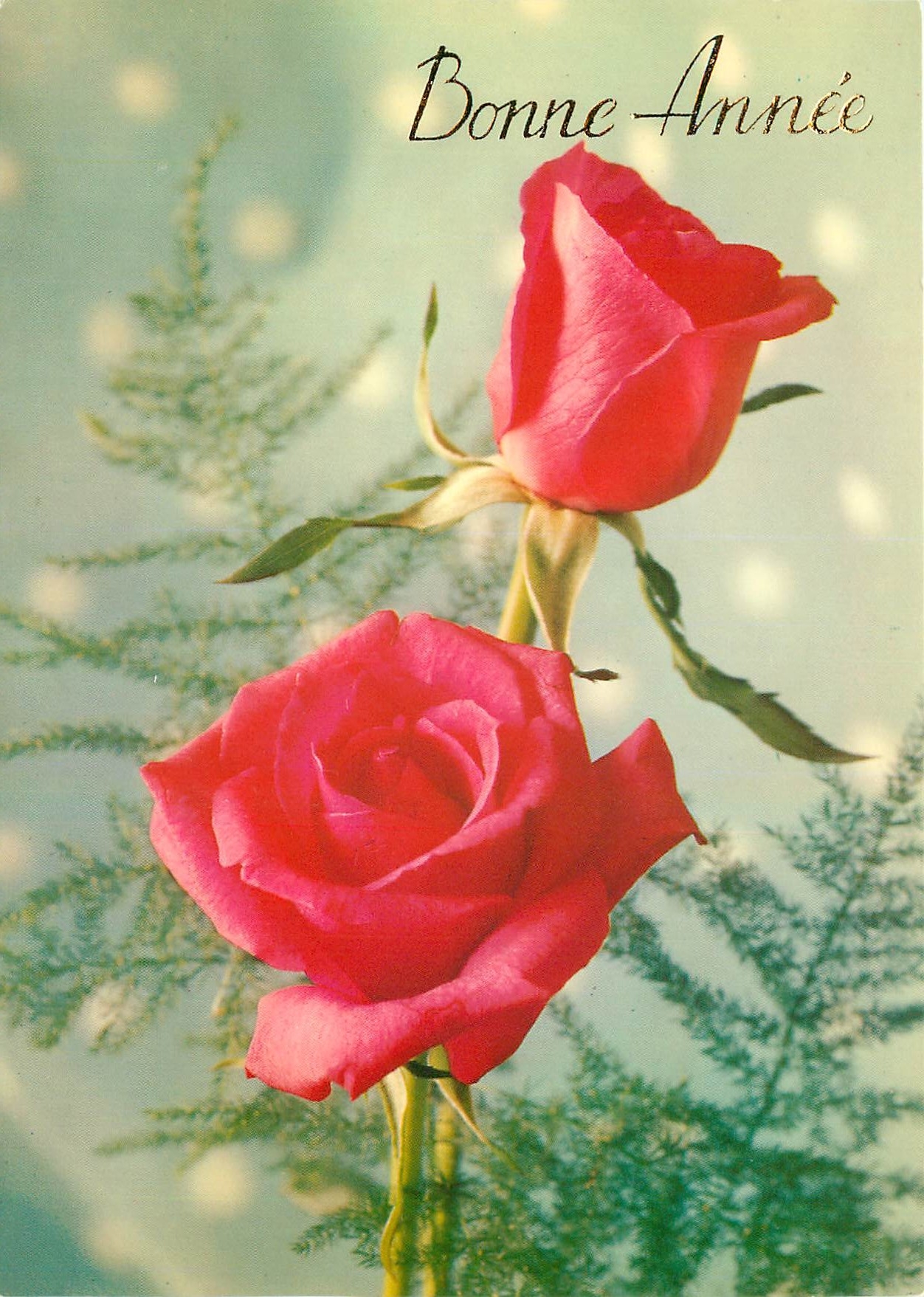 CPM Fleurs  Bonne Annee 