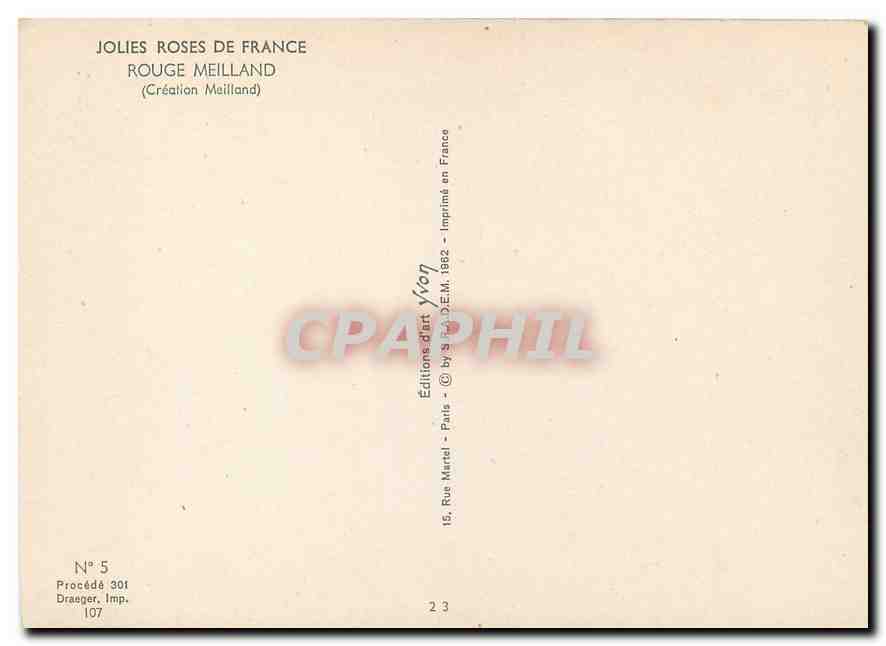 CPM Fleurs  Jolies Roses de France Rouge Meilland  — Rückseite