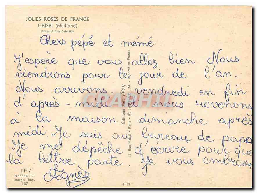 CPM Fleurs  Jolies Roses de France Grisbi Meilland  — Rückseite