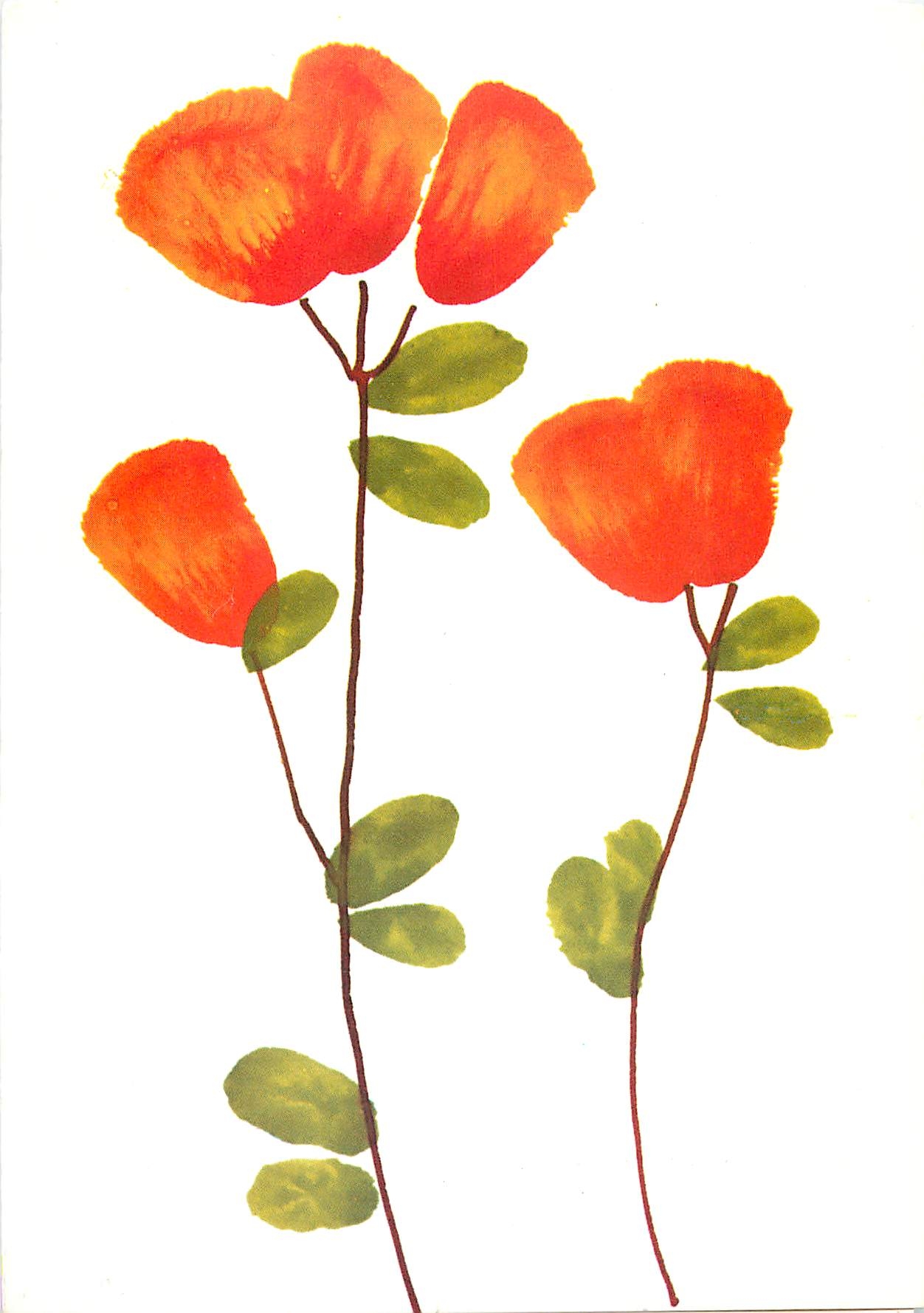 CPM Fleurs de Montagne Campanule barbue et genet 