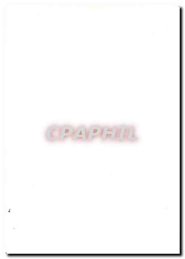 CPM Fleurs de Montagne Campanule barbue et genet  — Rückseite