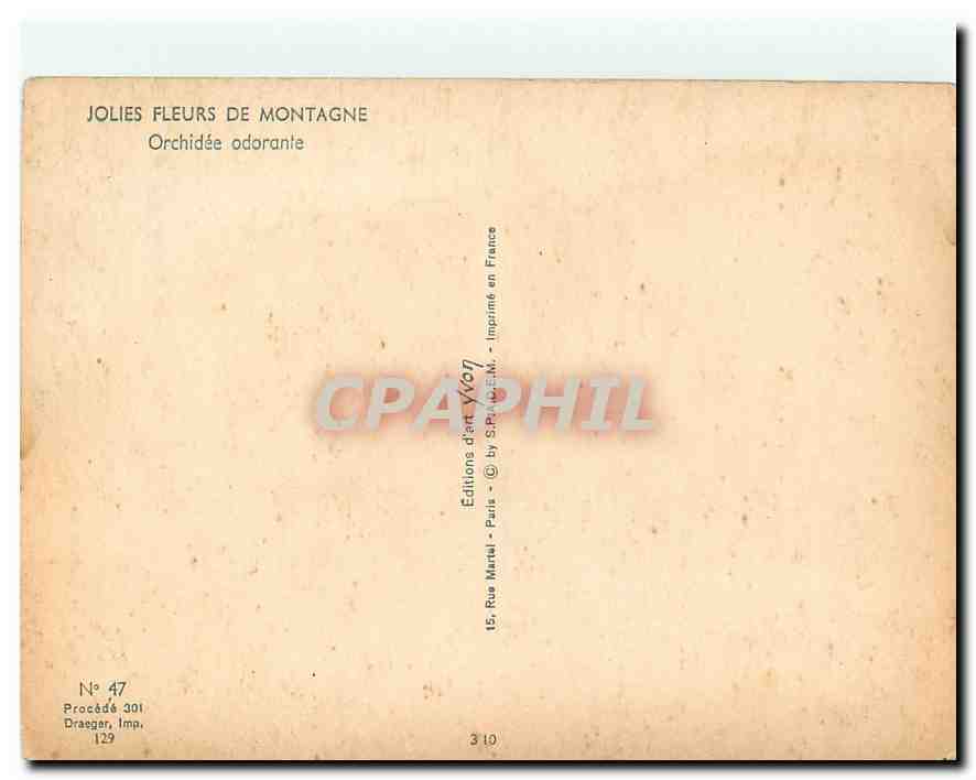 CPM Jolies Fleurs de Montagne Orchidee odorante  — Rückseite