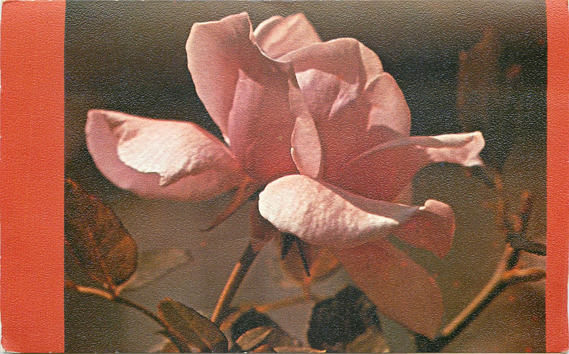 CPM Fleurs