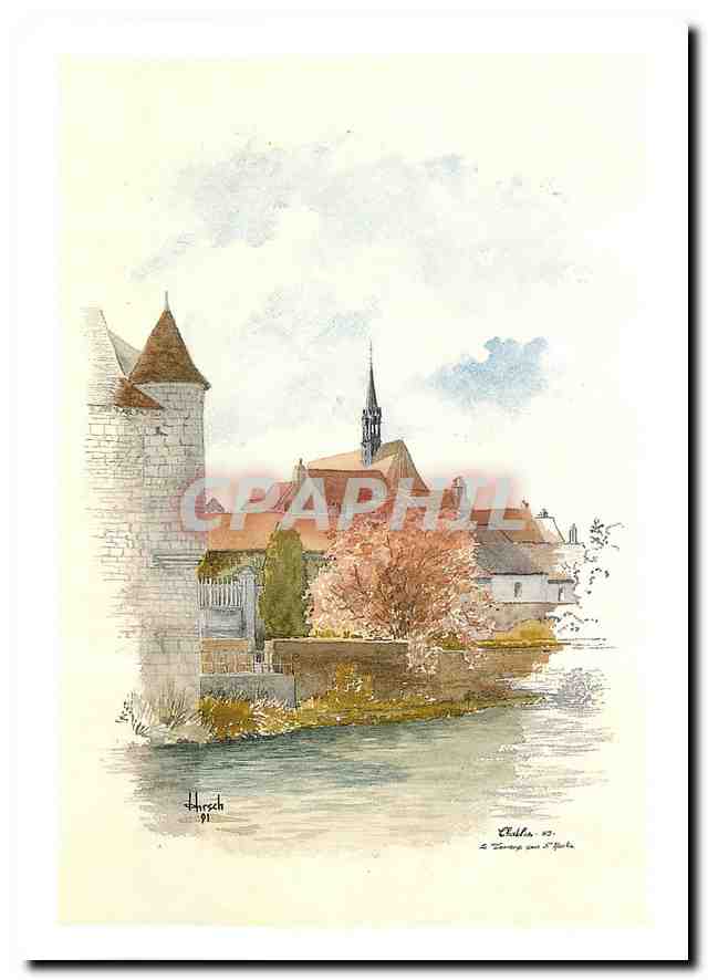 CPM Chablis Yonne Le Tamaris sous Saint Martin 