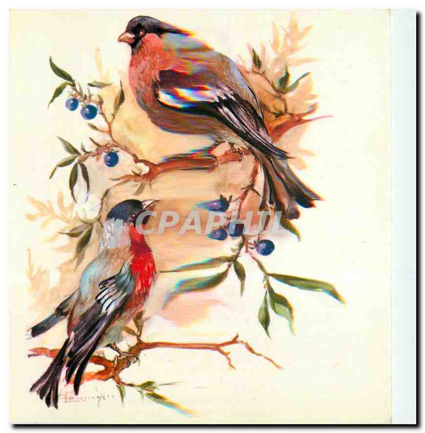 CPM Oiseaux