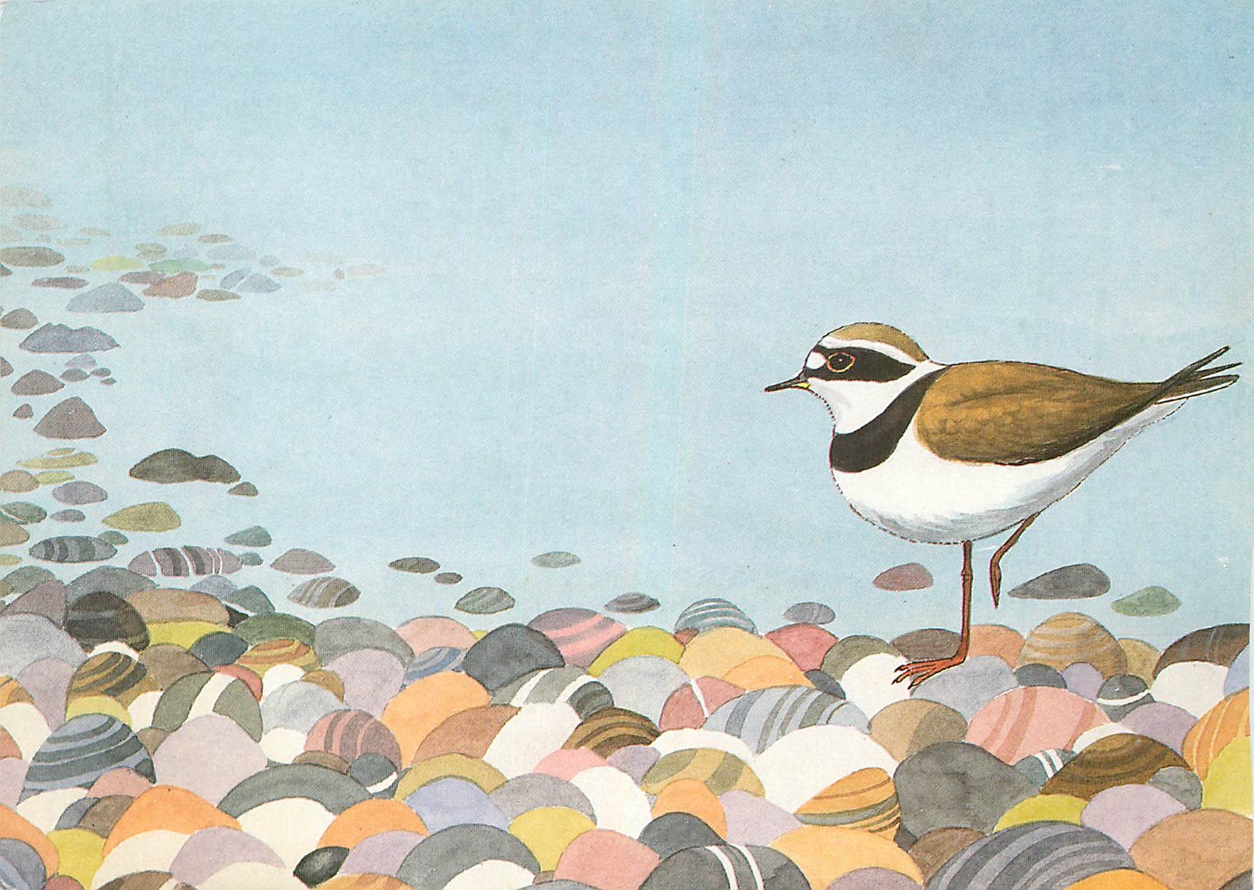 CPM Campagne du Conseil de l'Europe Les Rivages Oiseau