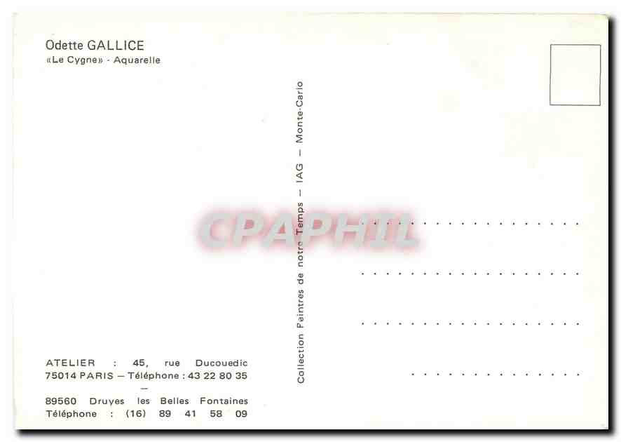 CPM Odette Gallice Le Cygnes Aquarelle Cygne — Rückseite