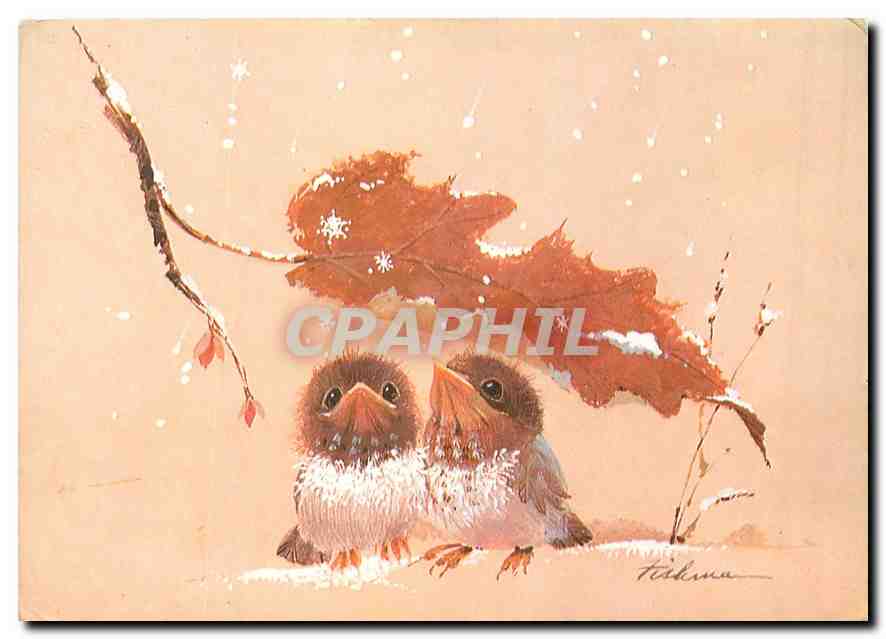 CPM Oiseaux