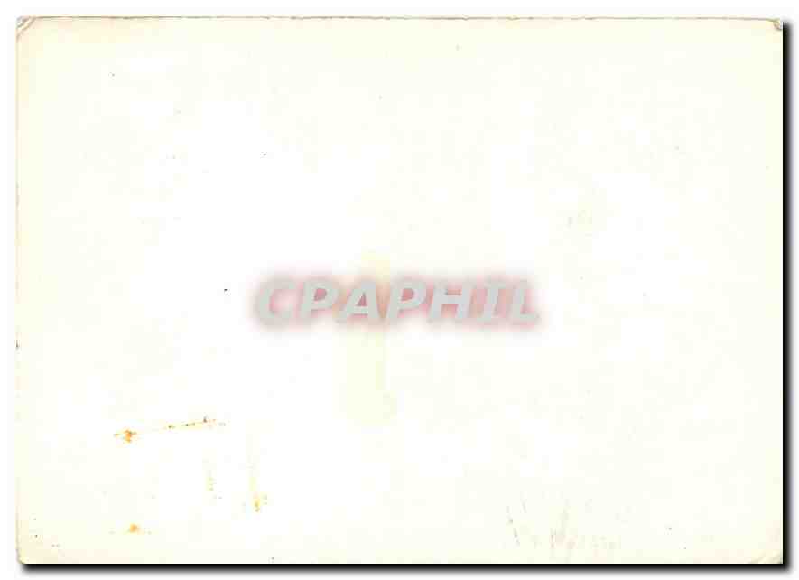 CPM Oiseaux — Rückseite