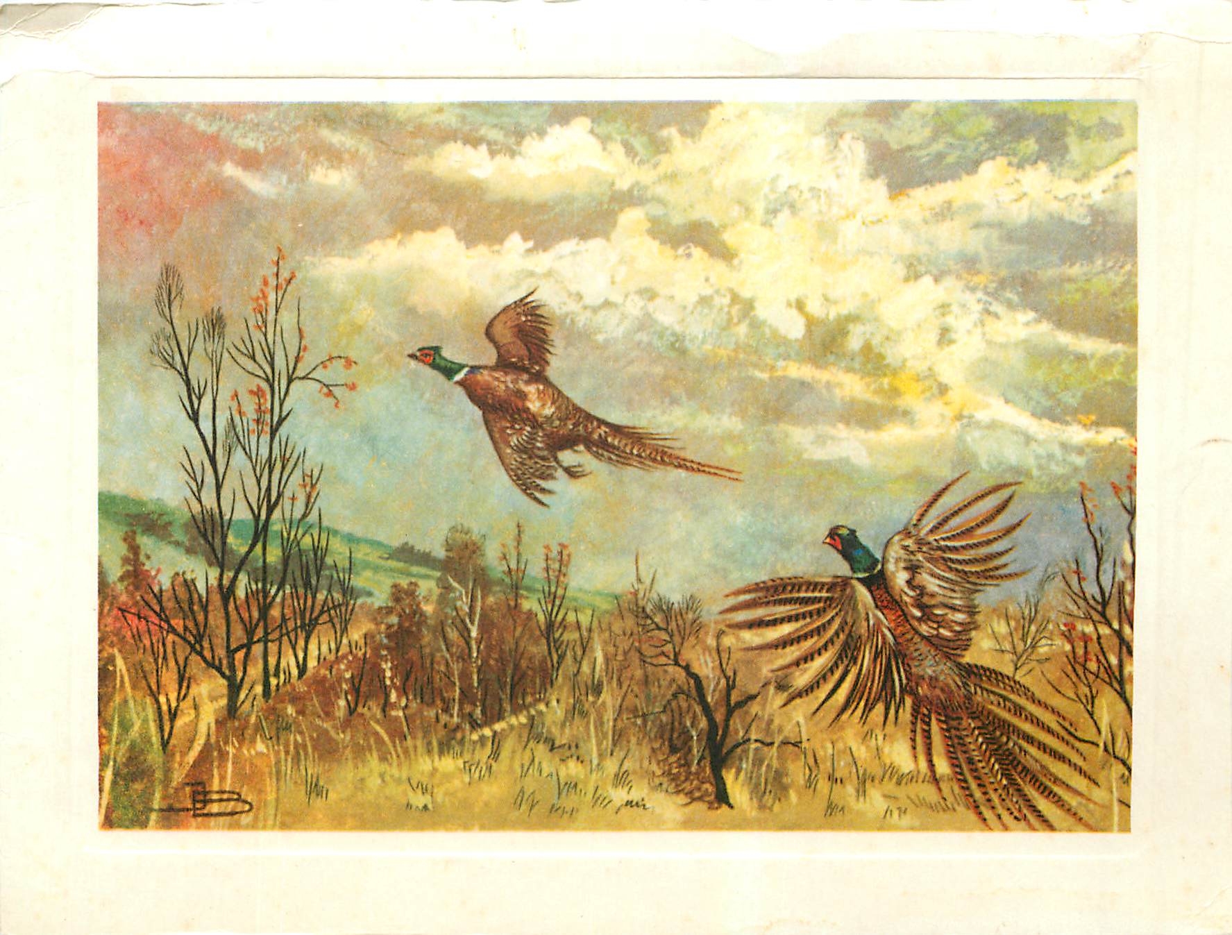 CPM Oiseau