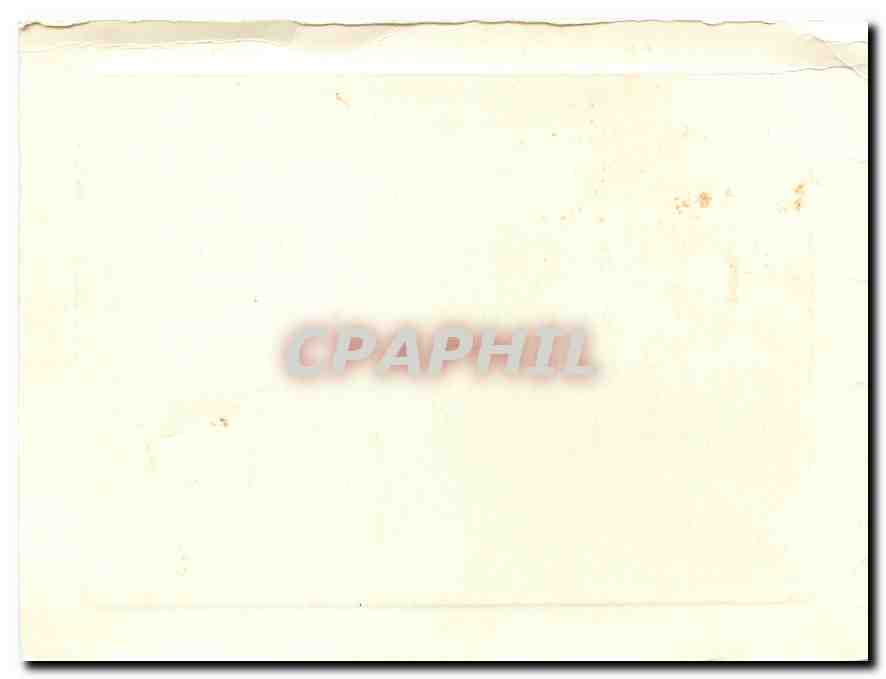 CPM Oiseau — Back
