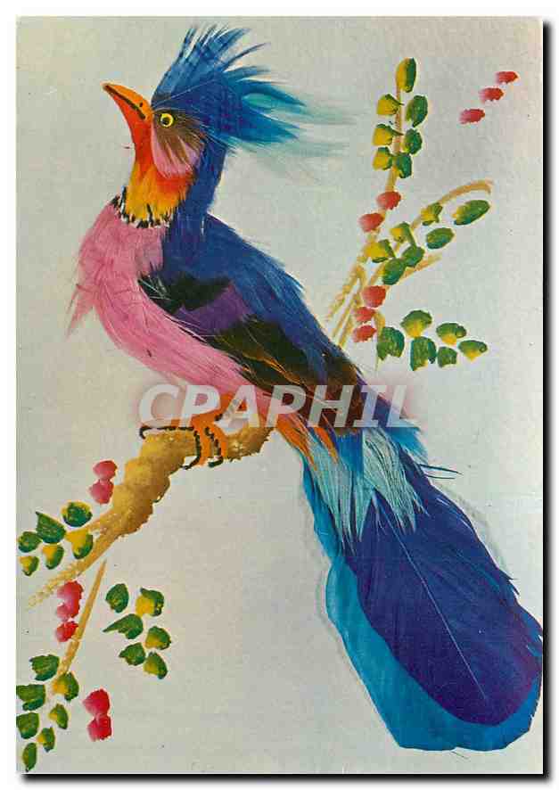 CPM Oiseau