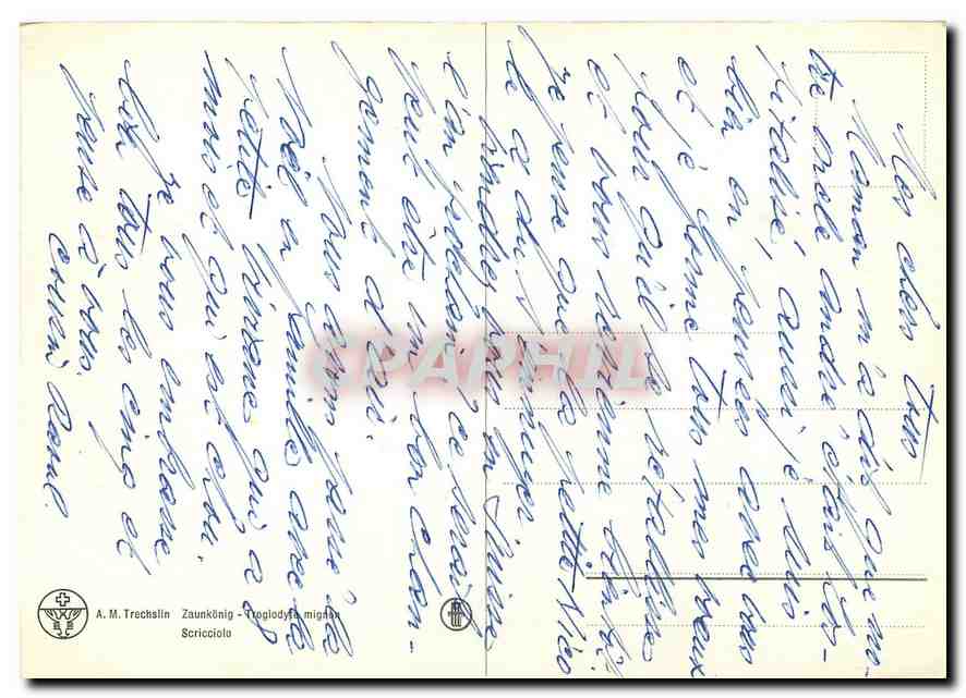 CPM AM Trechalin Zaunkonig Scricciolo  — Rückseite