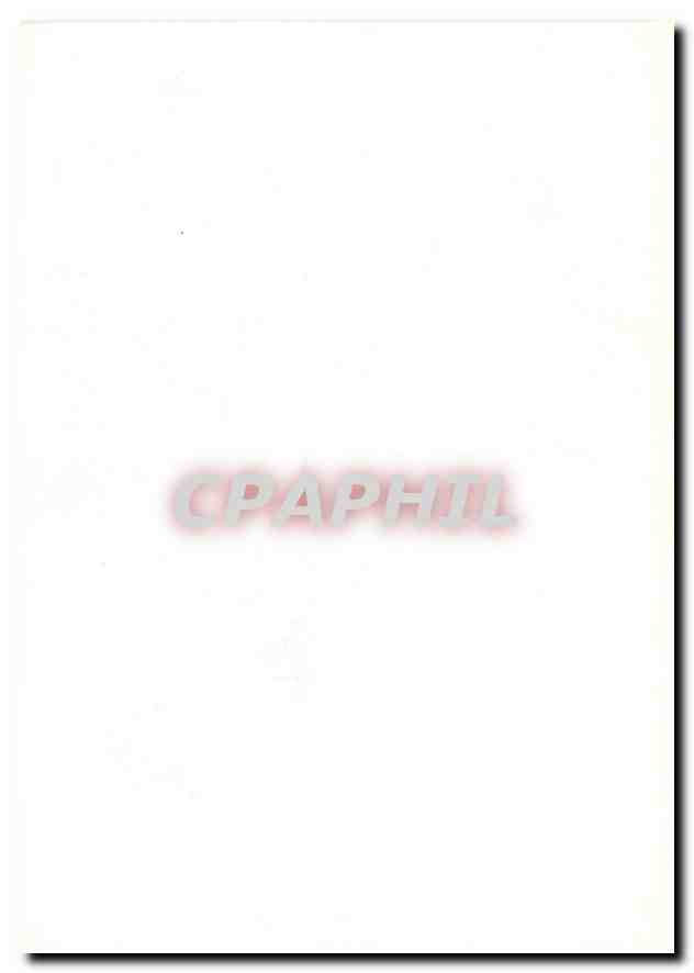 CPM Bondree apivore  — Rückseite