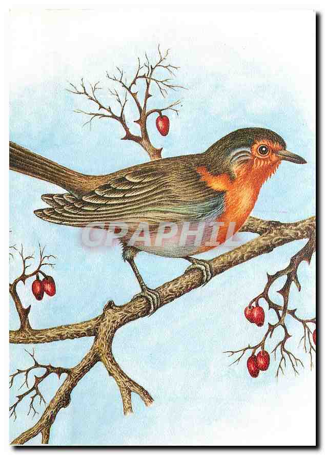 CPM Oiseau