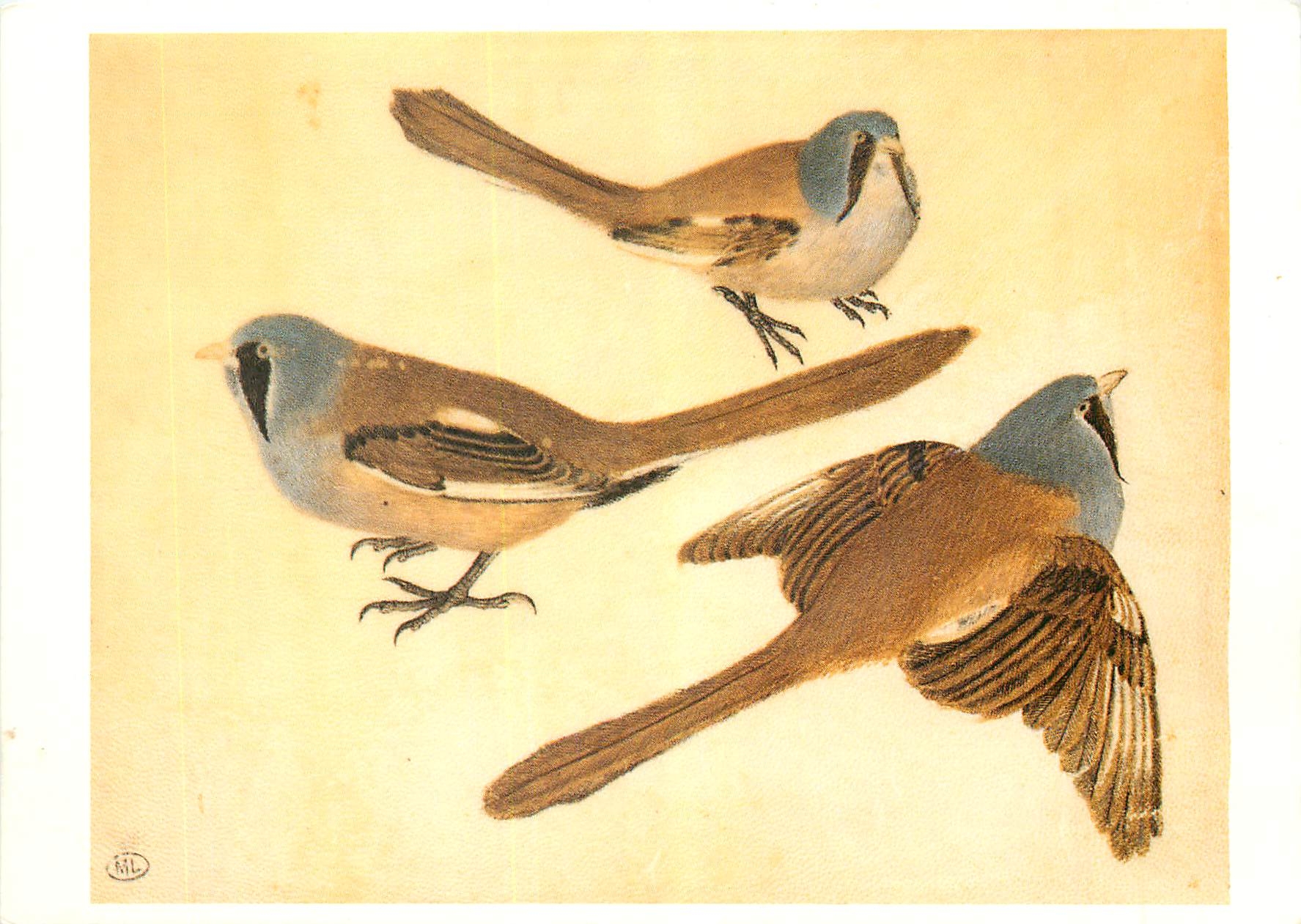 CPM Antonio di Puccio di Giovanni da Ceretto dit Pisanello 