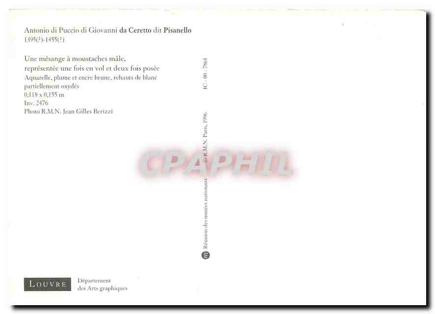 CPM Antonio di Puccio di Giovanni da Ceretto dit Pisanello  — Back