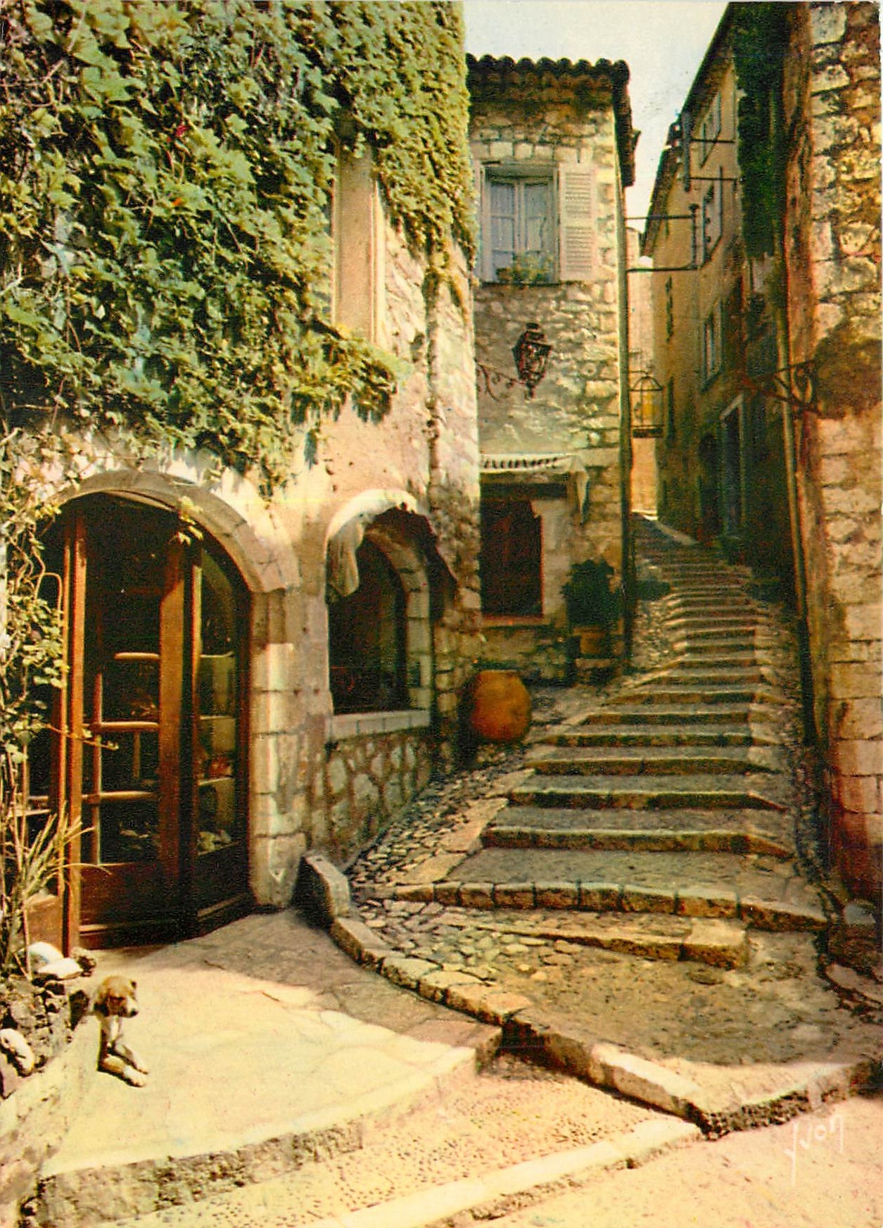 CPM La Cote d'Azur miracle de la nature Saint Paul de Vence AM 