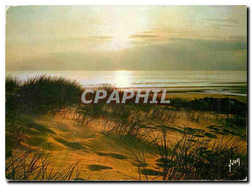 CPM Couleurs et Lumiere de France Coucher de soleil dans les dunes 