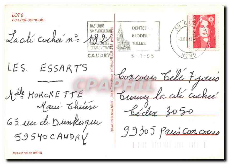 CPM Lot Le chat somnole  — Verso