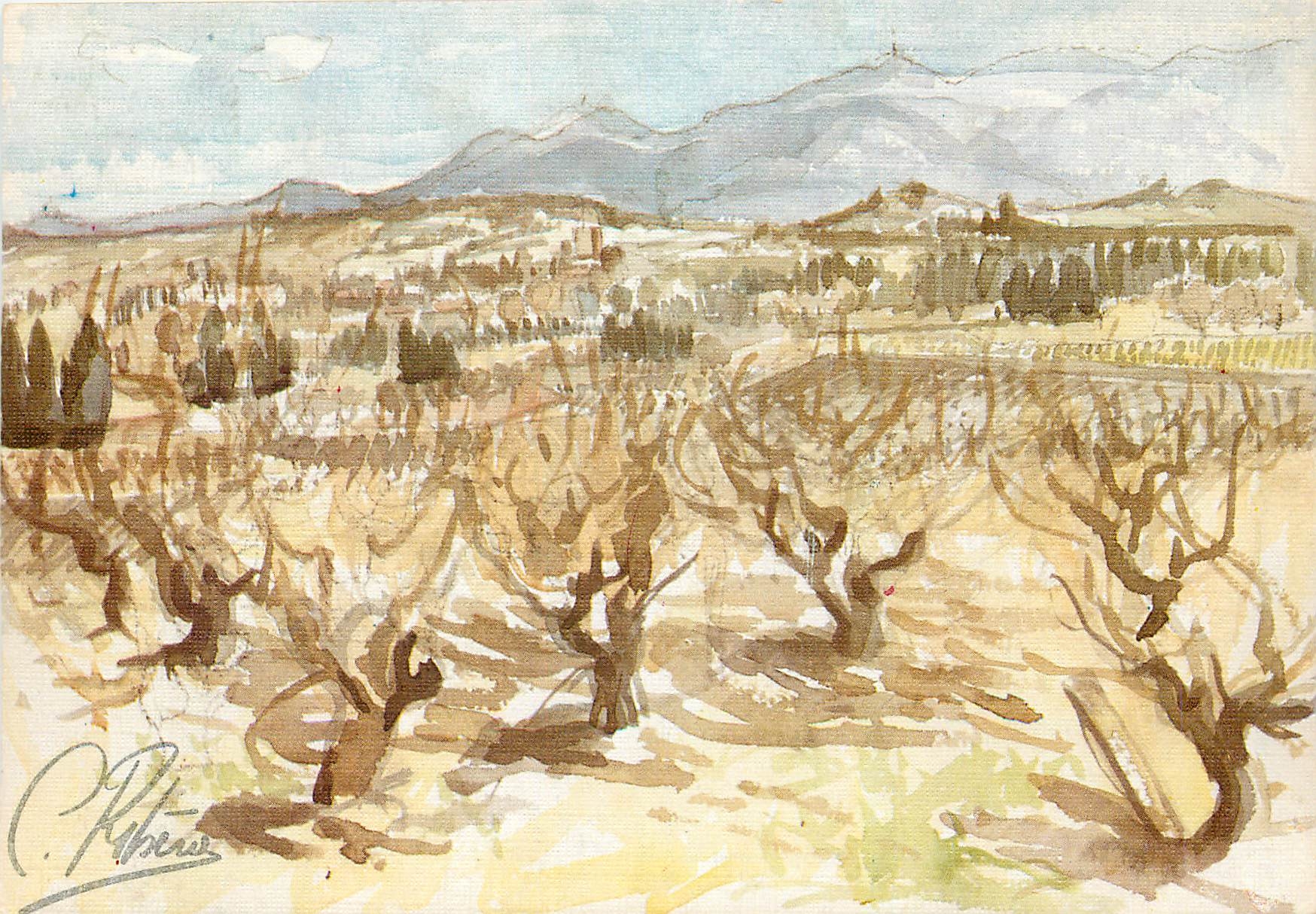 CPM Paysage typique du Roussillon Au fond les Alberes 
