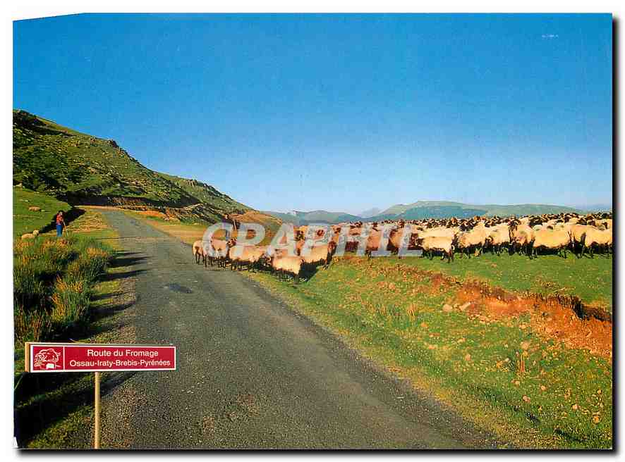 CPM Iteneraire de Tradition en Pays Basque et Bearn 