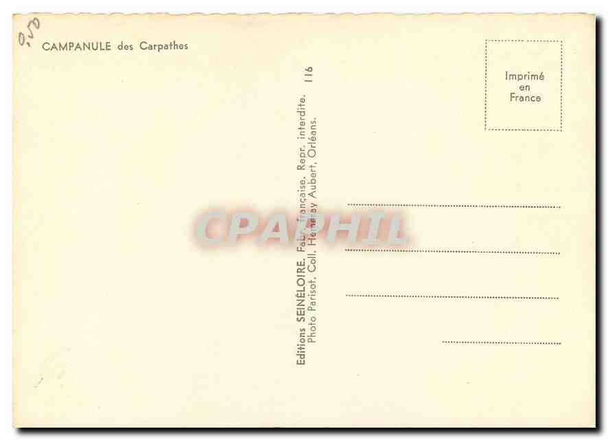 CPM Campanule des Carpathos  — Rückseite