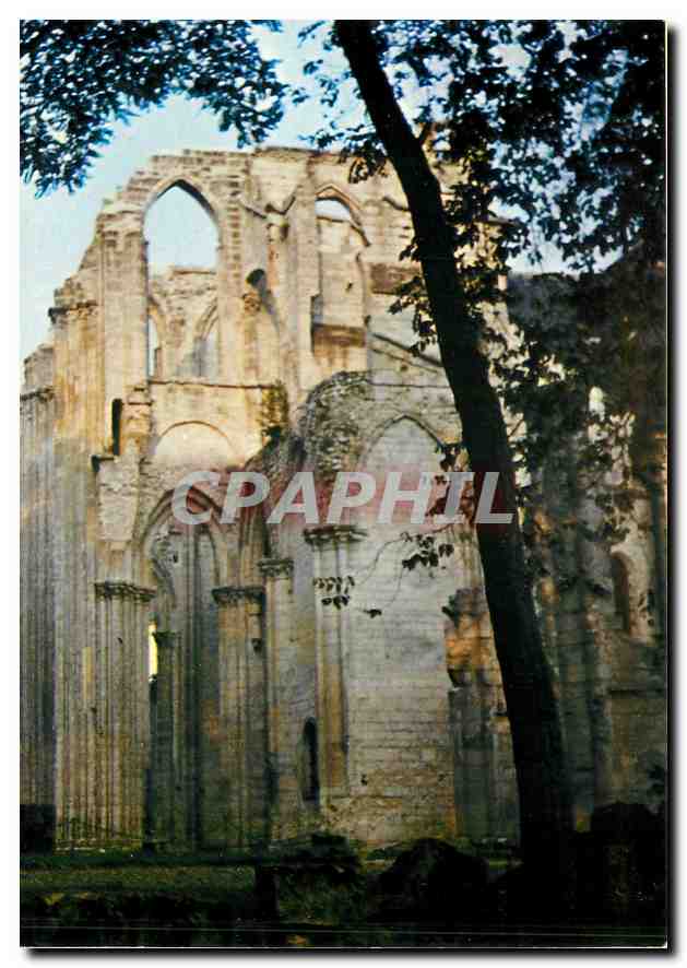 CPM Abbaye Saint Wandrille Ruines du XIII siecle 