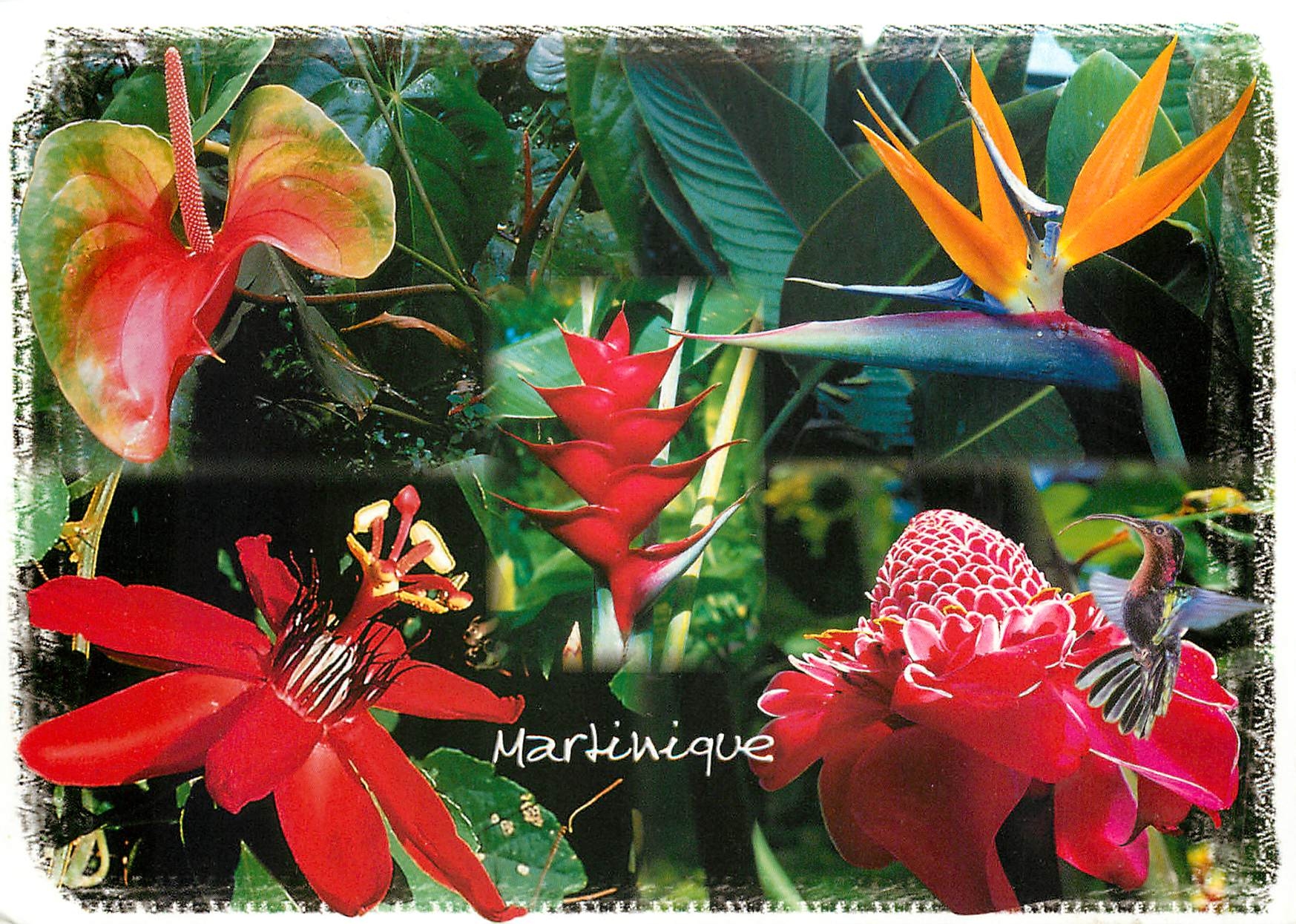 CPM Martinique 