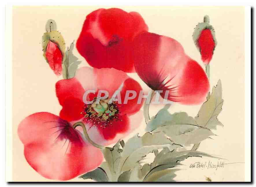 CPM Mohn Seidenaquarell von Ute Patel Missfeldi 