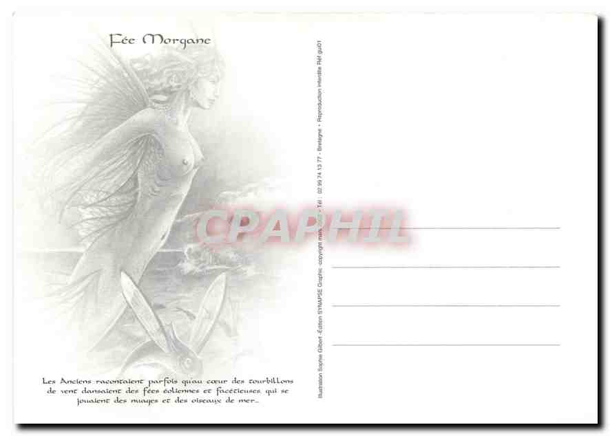 CPM Fee Morgane  — Back